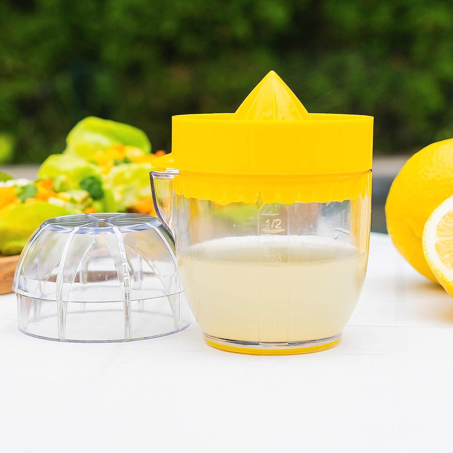 Lemon Juicer | Encouraging Greens