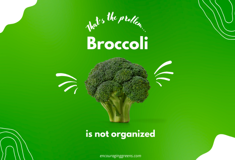 broccoli | Encouraging Greens