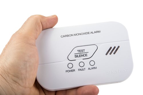 carbon monoxide | Encouraging Greens